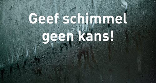 Header-Jan-Bosmans-geef-schimmel-geen-kans-blog-Brink-Climate-Systems.jpg (36 KB)